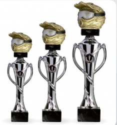 2860 Motor Vehicle Trophies