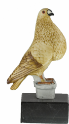 3200 Pigeon fowl and falconry Trophie