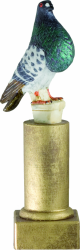 3212 Pigeon fowl and falconry Trophie