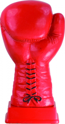 4767 Trophée Boxe