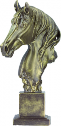 5048 Trophée Cheval