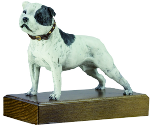 5129 Trophée du chienS